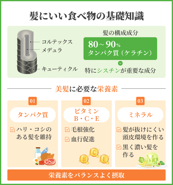 髪にいい食べ物を選ぶ前に知っておきたい基礎知識