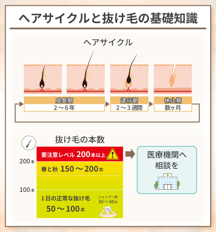 ヘアサイクルと抜け毛の基礎知識